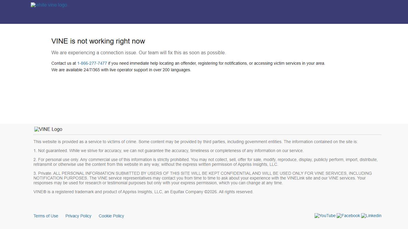 VINE is not working right now